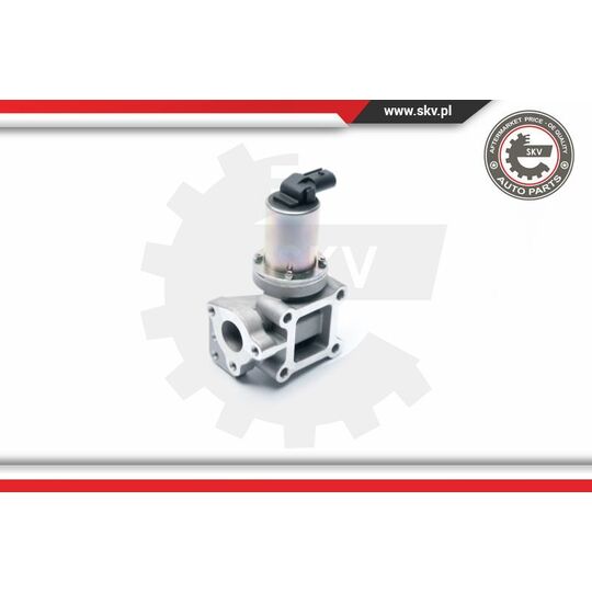 14SKV099 - EGR Valve 