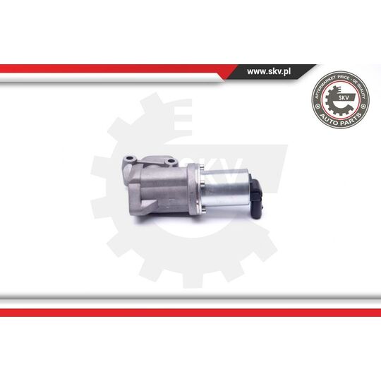 14SKV105 - EGR Valve 