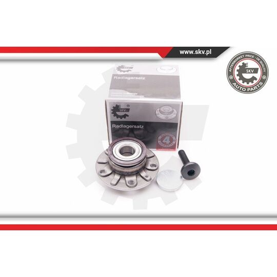 29SKV011 - Wheel Bearing Kit 