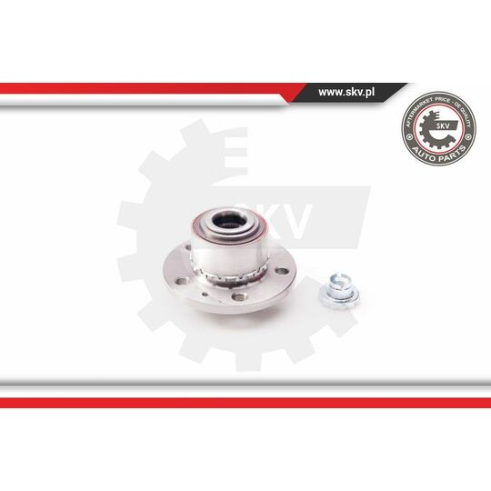 29SKV005 - Wheel Bearing Kit 