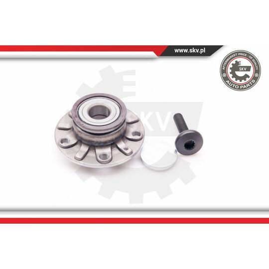 29SKV011 - Wheel Bearing Kit 