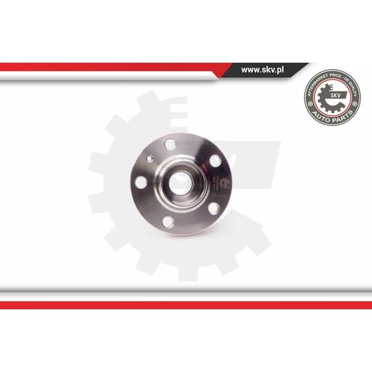 29SKV005 - Wheel Bearing Kit 