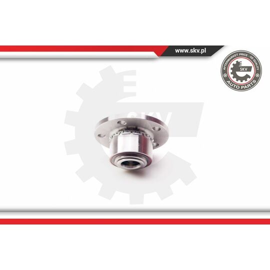 29SKV005 - Wheel Bearing Kit 