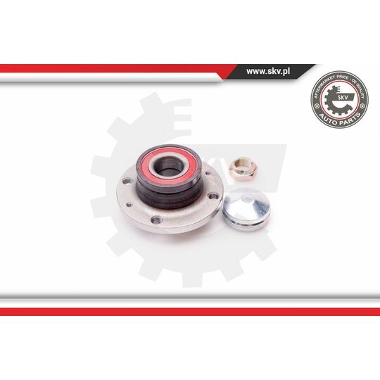 29SKV038 - Wheel Bearing Kit 