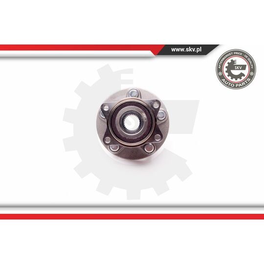 29SKV037 - Wheel Bearing Kit 