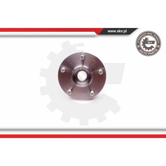 29SKV037 - Wheel Bearing Kit 