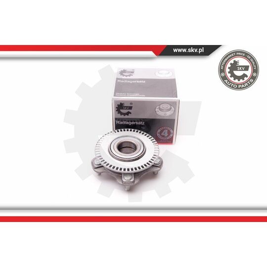 29SKV065 - Wheel Bearing Kit 