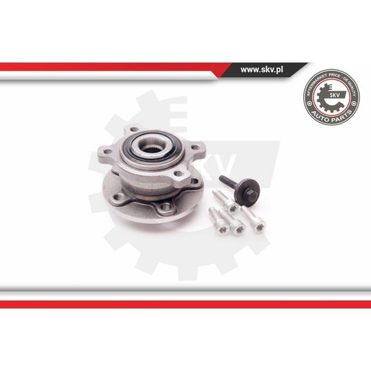 29SKV076 - Wheel Bearing Kit 