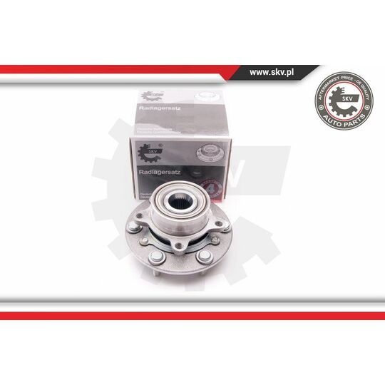 29SKV100 - Wheel Bearing Kit 