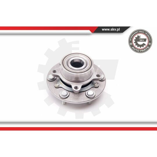 29SKV100 - Wheel Bearing Kit 