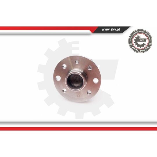 29SKV113 - Wheel Bearing Kit 