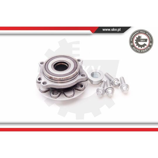 29SKV143 - Wheel Bearing Kit 