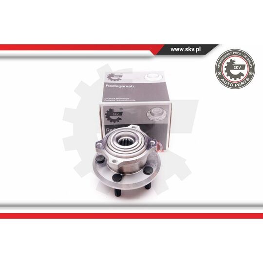 29SKV168 - Wheel Bearing Kit 