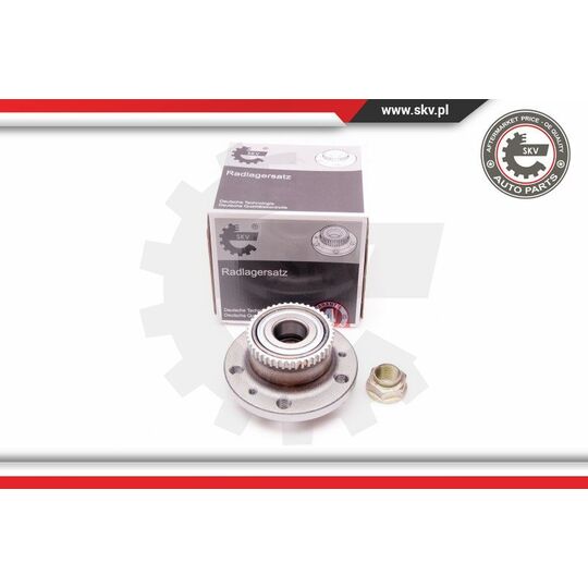 29SKV160 - Wheel Bearing Kit 