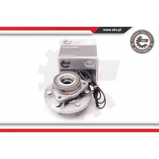 29SKV163 - Wheel Bearing Kit 