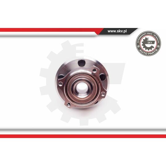 29SKV168 - Wheel Bearing Kit 