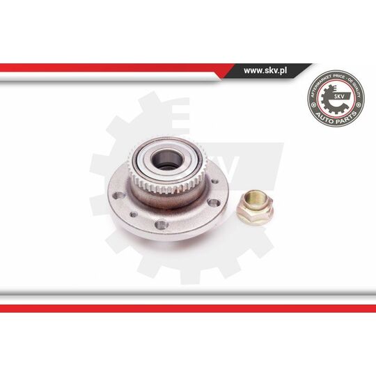 29SKV160 - Wheel Bearing Kit 