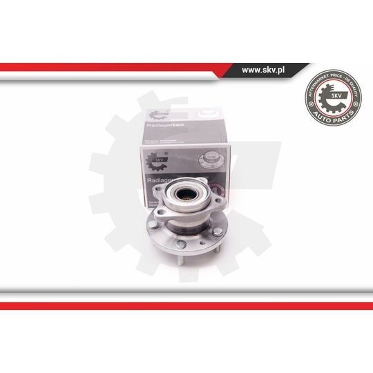 29SKV164 - Wheel Bearing Kit 