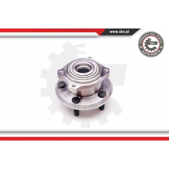 29SKV168 - Wheel Bearing Kit 