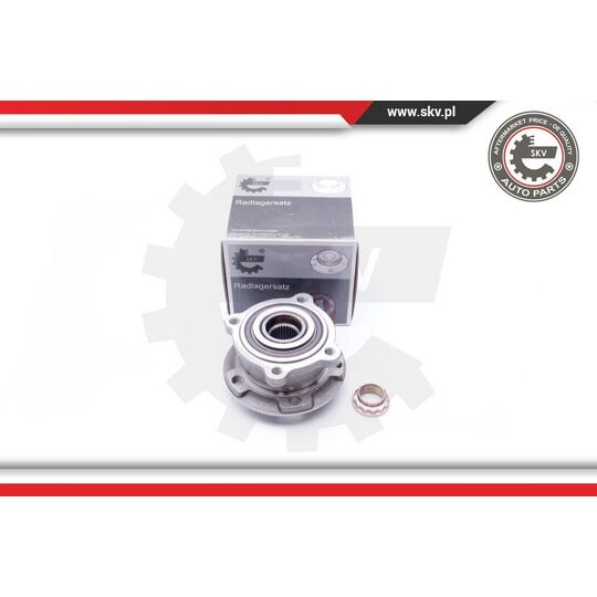 29SKV176 - Wheel Bearing Kit 