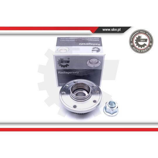 29SKV198 - Wheel Bearing Kit 