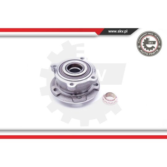 29SKV176 - Wheel Bearing Kit 