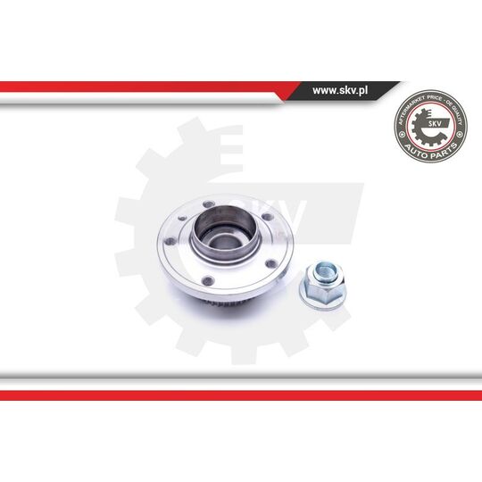 29SKV198 - Wheel Bearing Kit 