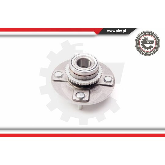 29SKV170 - Wheel Bearing Kit 