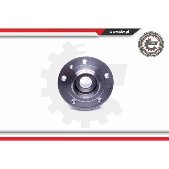 29SKV198 - Wheel Bearing Kit 