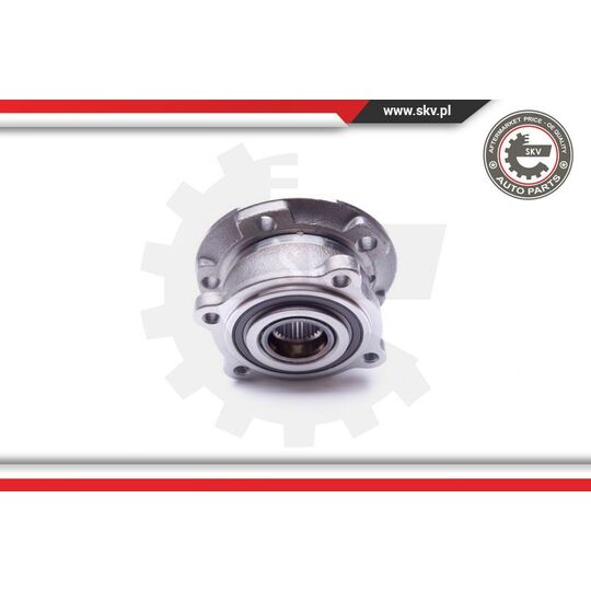 29SKV176 - Wheel Bearing Kit 