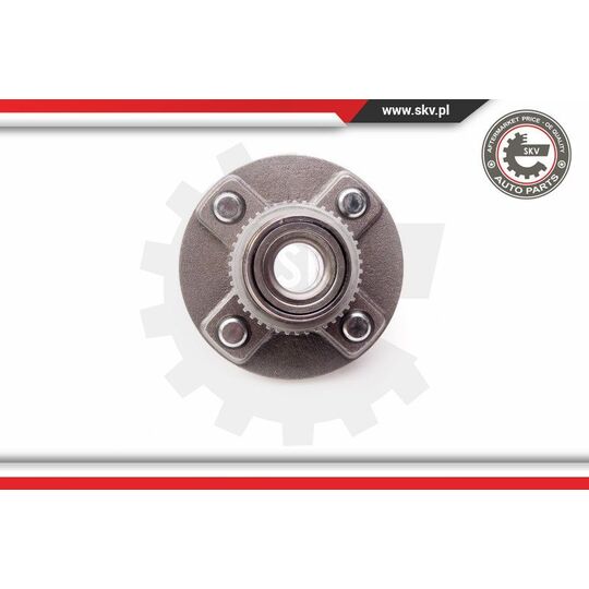 29SKV170 - Wheel Bearing Kit 