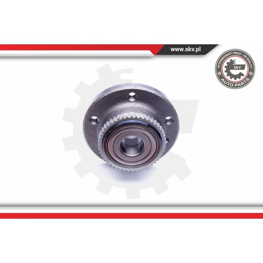 29SKV198 - Wheel Bearing Kit 