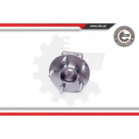 29SKV181 - Wheel Bearing Kit 