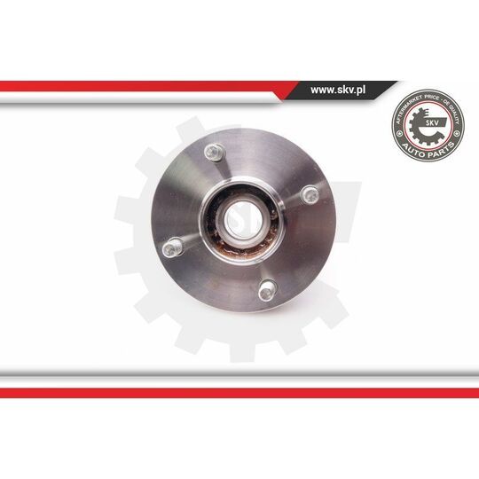 29SKV170 - Wheel Bearing Kit 