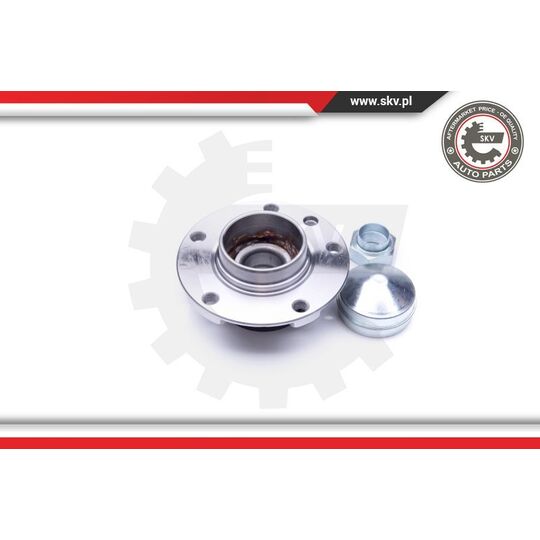 29SKV221 - Wheel Bearing Kit 