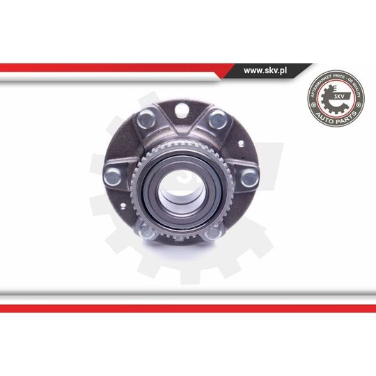 29SKV206 - Wheel Bearing Kit 