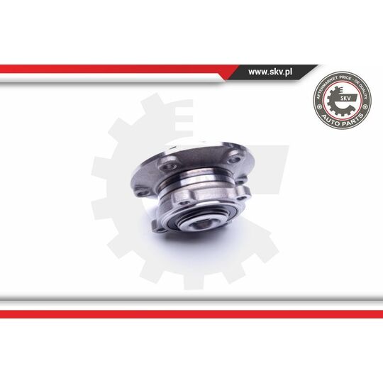 29SKV234 - Wheel Bearing Kit 