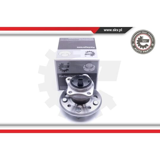 29SKV272 - Wheel Bearing Kit 