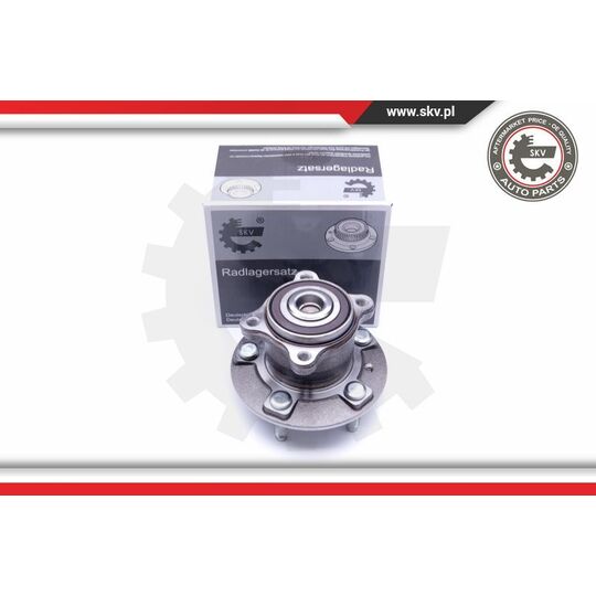 29SKV249 - Wheel Bearing Kit 