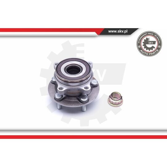 29SKV255 - Wheel Bearing Kit 