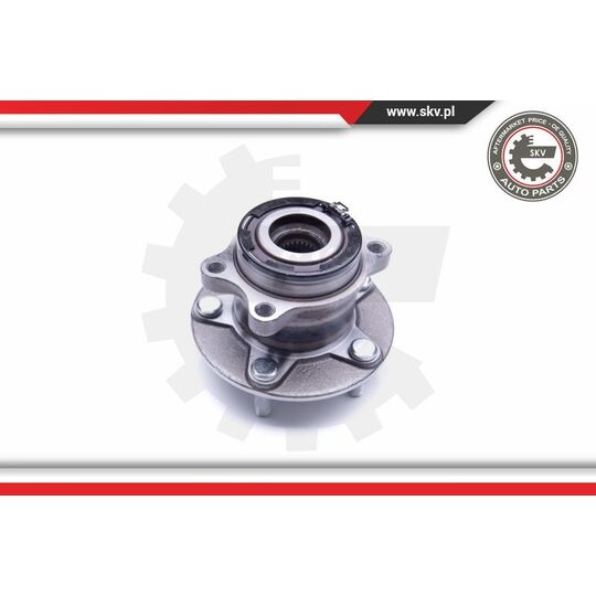 29SKV262 - Wheel Bearing Kit 