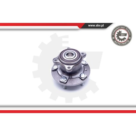 29SKV249 - Wheel Bearing Kit 