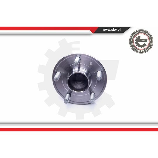 29SKV249 - Wheel Bearing Kit 