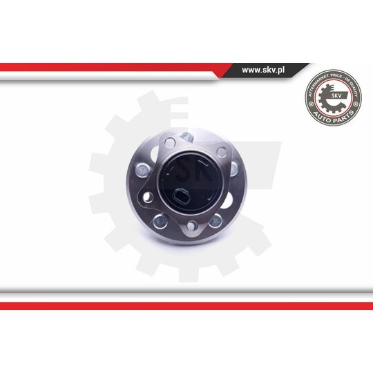 29SKV272 - Wheel Bearing Kit 