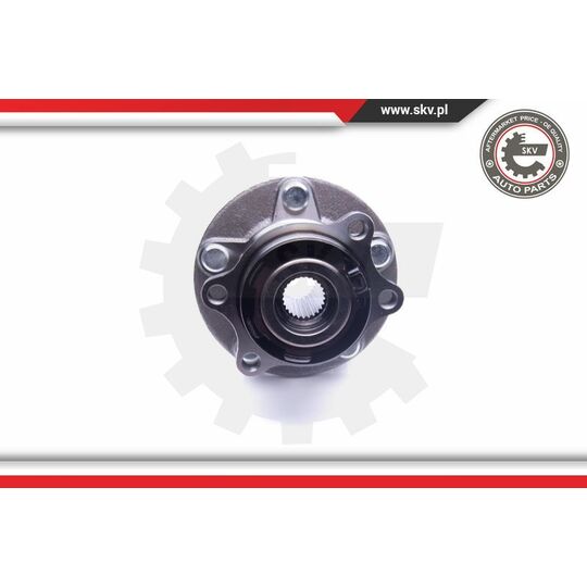 29SKV262 - Wheel Bearing Kit 