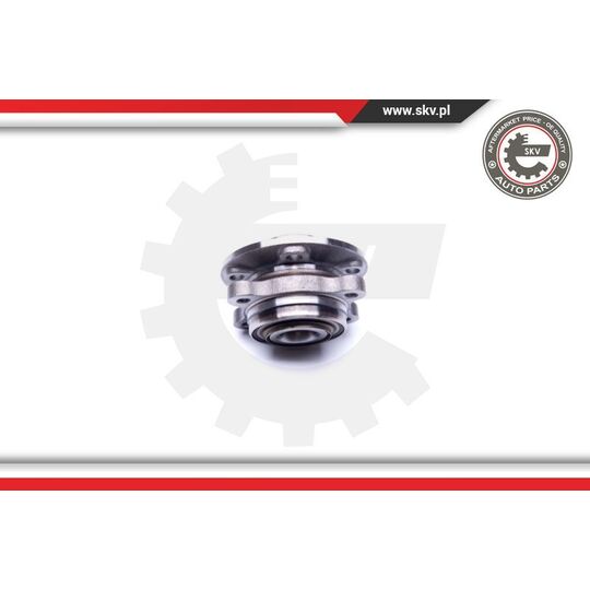 29SKV263 - Wheel Bearing Kit 