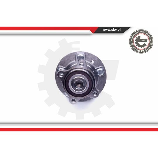 29SKV249 - Wheel Bearing Kit 