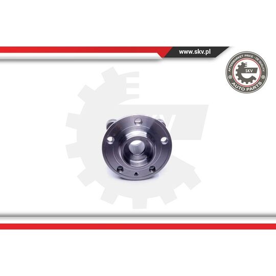 29SKV263 - Wheel Bearing Kit 