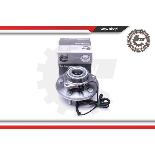 29SKV318 - Wheel Bearing Kit 