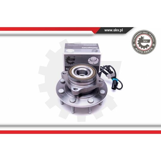 29SKV376 - Wheel Bearing Kit 